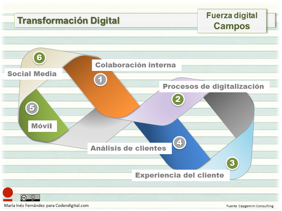 Campos de fuerza digital